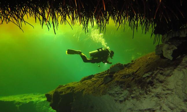 CENOTE MANATI - CASA CENOTE