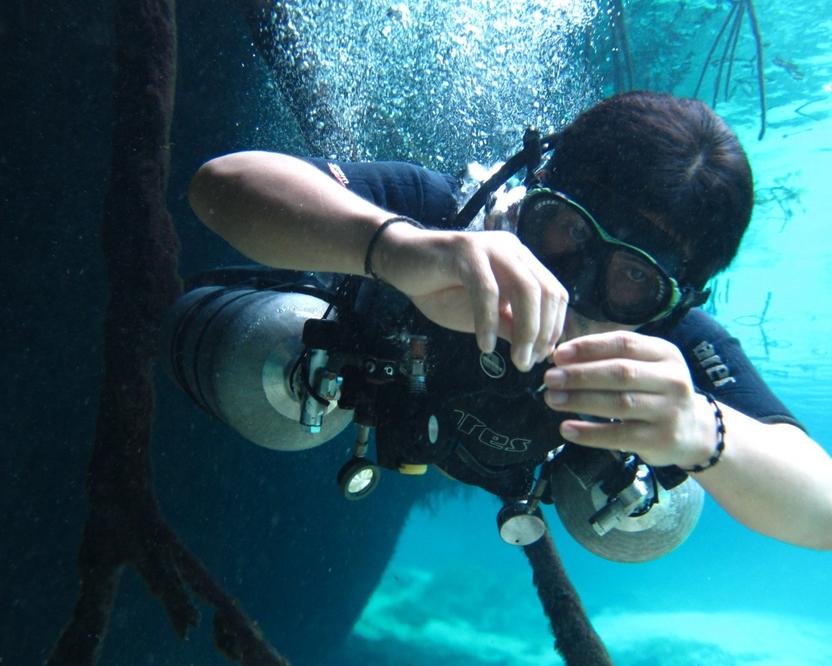 SIDEMOUNT PROGRAMS