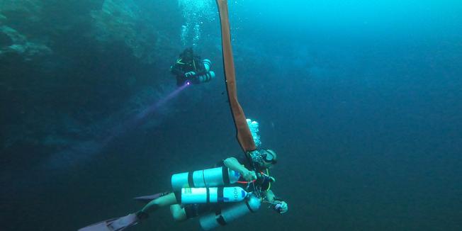 TEK OPEN WATER SIDEMOUNT DIVER