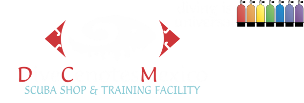 Dive Cenotes Mexico